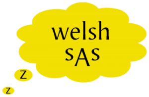 The Welsh Sleep Apnoea Society